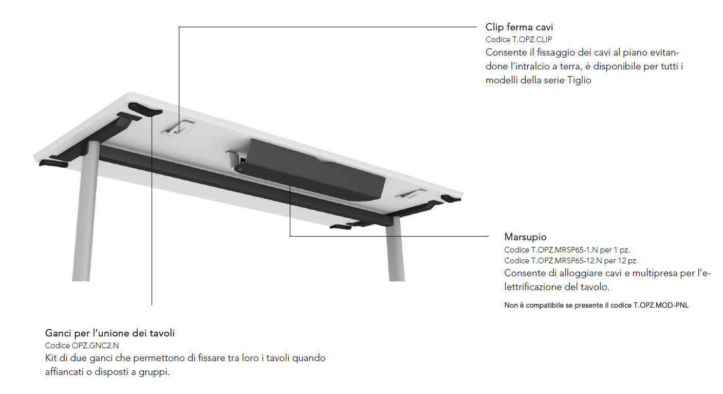 Tavolo - Tiglio Fisso - immagine 3