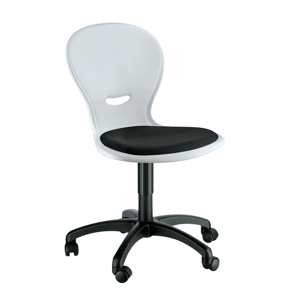 Base girevole 5 razze